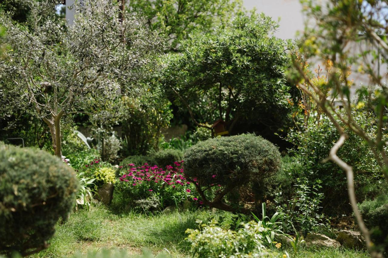 Apartment N&T Pola Esterno foto